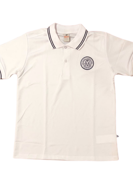 83022 Camiseta Diario Hombre tipo polo Colegio Calasanz Campestre Escolapias