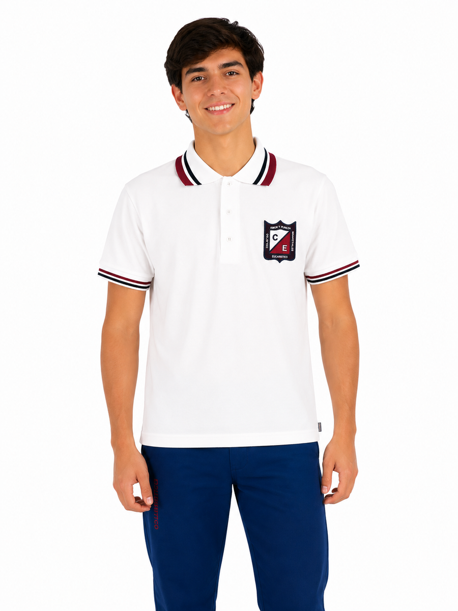 Camiseta Polo Diario Masculino